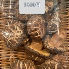 感想しいたけ1500円