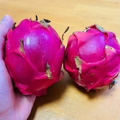 県産無農薬ドラゴンフルーツ赤2個300円