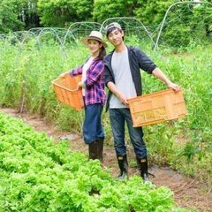 ガッツリ稼げる☆未経験者歓迎！単身寮もあるので安心です。