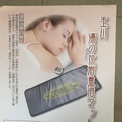免疫力UP【未使用】玉川湯の花岩盤浴マット　毎日自宅で睡眠中に岩...