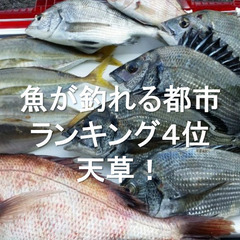 給料３０万円は変わらずに生活費２１万円→６万円まで削減！ 天草の旅館  和食調理師にお仕事の画像