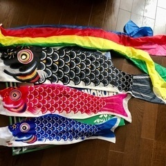 最高級 鯉のぼり🎏