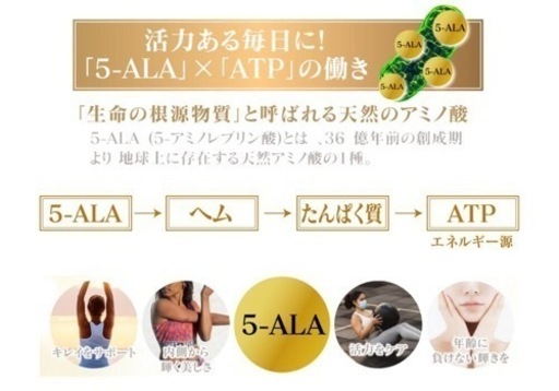 デアザフラビン plus 5-ALA W配合 日本製 純度99.9％以上 1粒NMN1200mg相当 次世代型NMN 特典③有り　全国配送料無料