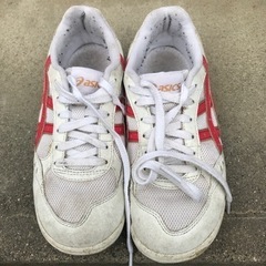 体育館シューズ　赤B