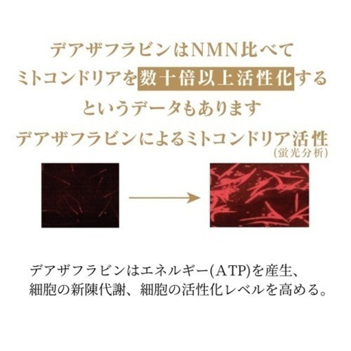 デアザフラビン plus 5-ALA W配合 日本製 純度99.9％以上 1粒NMN1200mg相当 次世代型NMN 特典④有り　全国