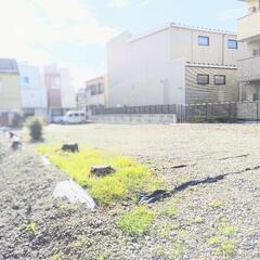 浮間2丁目4　駐車場　 − 東京都