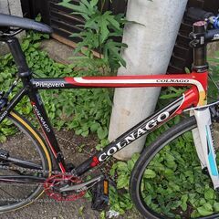 コルナゴ　プリマベーラ　フラットバーフロントシングルの画像