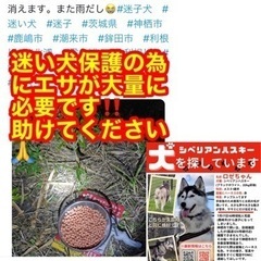 余ったドックフードください‼️ 犬の捜索にご協力お願い致します🙏