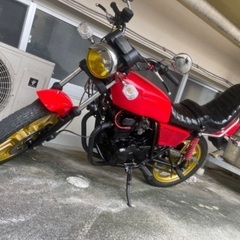 Z250FT売ります！値下げしました！