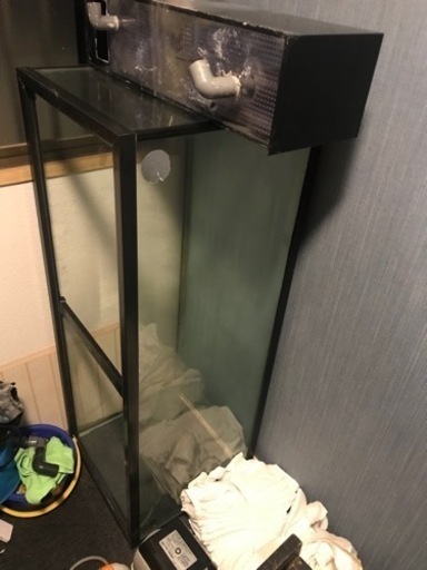 お譲り先決定‼️1200水槽　大型水槽　ガラス面綺麗です‼️