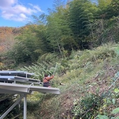 いわき市内　竹切り作業　バイト募集　短期でも構いません。の画像