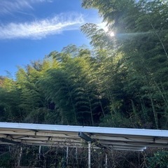 いわき市内　竹切り作業　バイト募集　短期でも構いません。の画像