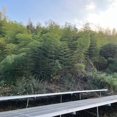 いわき市内　竹切り作業　バイト募集　短期でも構いません。の画像