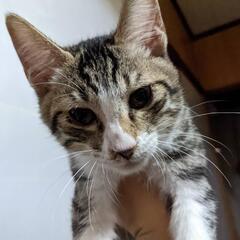 やむを得ない事情によりお願いします。届出済