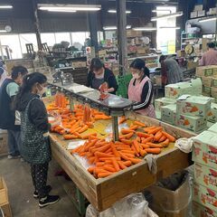 【シフト自由★WワークOK！】週１日〜短時間勤務も可能！市場で野菜や果物を袋詰めするお仕事★※ジモティーが掲載している求人となります②の画像