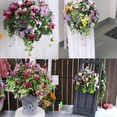 差し上げます♪ 地植えアイビー 根っこ付き　の画像