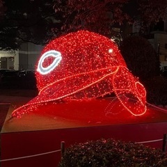 カープファン限定！観戦仲間✨ - 広島市