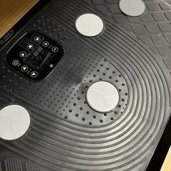 振動マシン 3D RIORESの画像