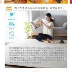 ラグ　ライトグレー　の画像