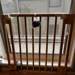 取引予定者決定中)ラブリーベイビーズ2 &木製ベビーゲートの画像