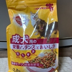ドッグフード