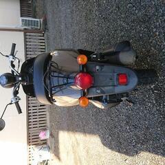 ホンダトゥデイAF67の画像