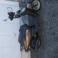 ホンダトゥデイAF67の画像