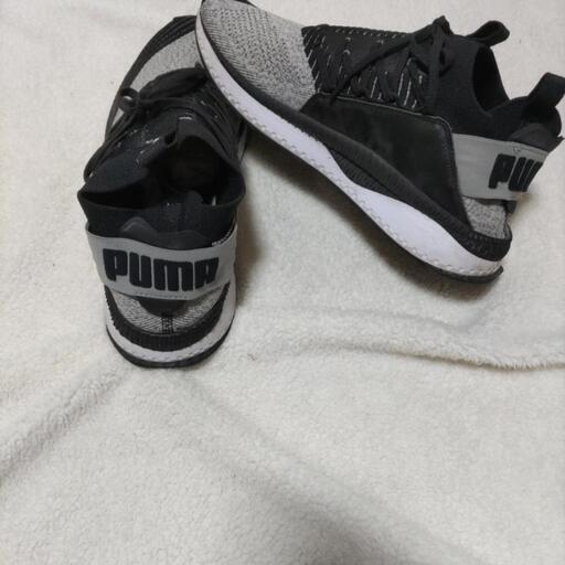 Pumaのシューズ   28cm  男性用