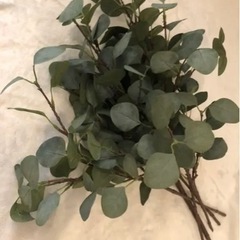 IKEA スミッカフェイクグリーンの画像