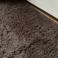 【無料】ラグ / カーペット 200×200の画像