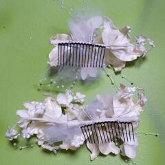 【差し上げます】髪飾りの画像