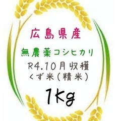 無農薬コシヒカリくず米（精米）１kg 