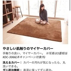 電気カーペット　2畳相当　小泉　KDC-2052の画像