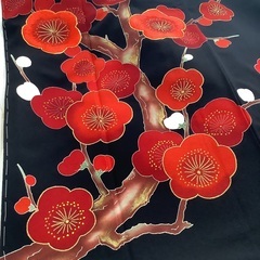 振袖　京友禅の画像