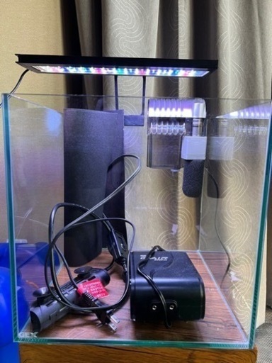 GEX 30センチキューブ水槽　セット