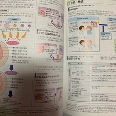 呼吸器　病気が見える　看護　医療の画像