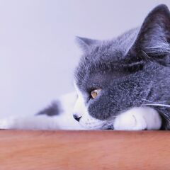 たまにだけ働きたい・・・そんな方には単発バイトがおすすめ！_Uh...