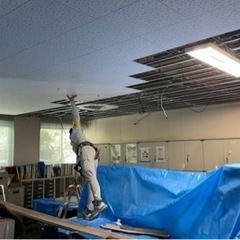正社員募集　　軽天