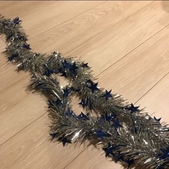 青い星がついたモール　2本の画像