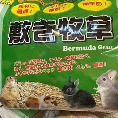 敷き牧草　うさぎ　フェレット　小動物用