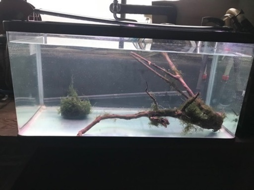 90cmフチなし曲げ水槽&濾過装置