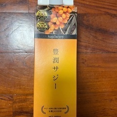 ※値下げしました 皇潤サジー