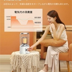 【新品未使用】セラミックヒーター 電気ストーブ 電気暖炉 足元ヒーター 3秒速暖 360°高速暖房 転倒オフ 足元 ビンテージ風 オフィス 省エネ おしゃれ 即暖 ストーブ 電気ヒーター コンパクト 小型 暖房器具 オフィス 洗面所 寝室 高齢者 脱衣場 5畳の画像