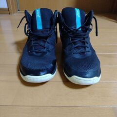 アシックス　バスケットシューズ　28cm
