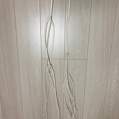 ホワイトツリー　クリスマスツリー　インテリア ウェディング  私の部屋　吉祥寺アトレの画像