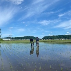簡単な手元作業！！！