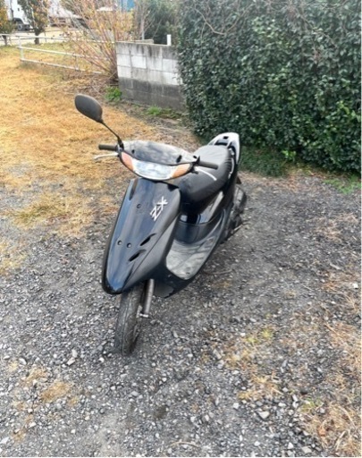 446.  動画あり　ホンダ　ライブディオZX仕様　原付　バイク　50cc   車体