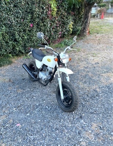 451. 動画あり　ホンダ　エイプ50 APE  綺麗　原付　バイク　50cc   車体