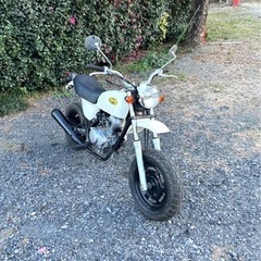 451. 動画あり　ホンダ　エイプ50 APE  綺麗　原付　バ...