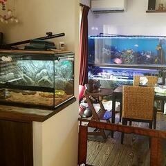 爬虫類 水槽  UVライト リクガメ飼育セット 爬虫類飼育  